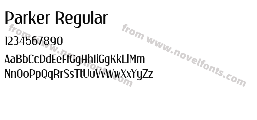 Parker RegularPreview