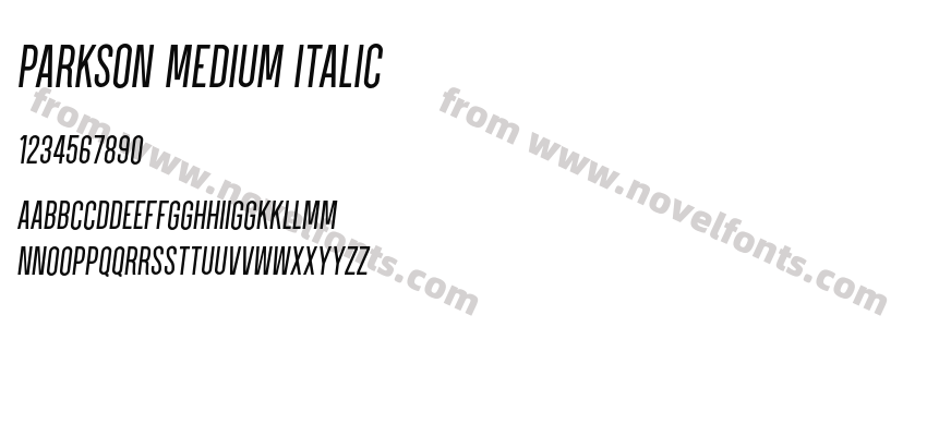 Parkson Medium ItalicPreview