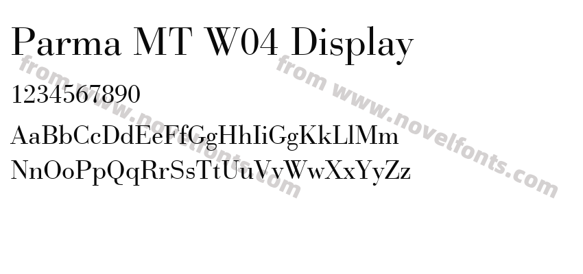 Parma MT W04 DisplayPreview