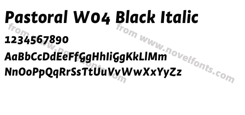 Pastoral W04 Black ItalicPreview