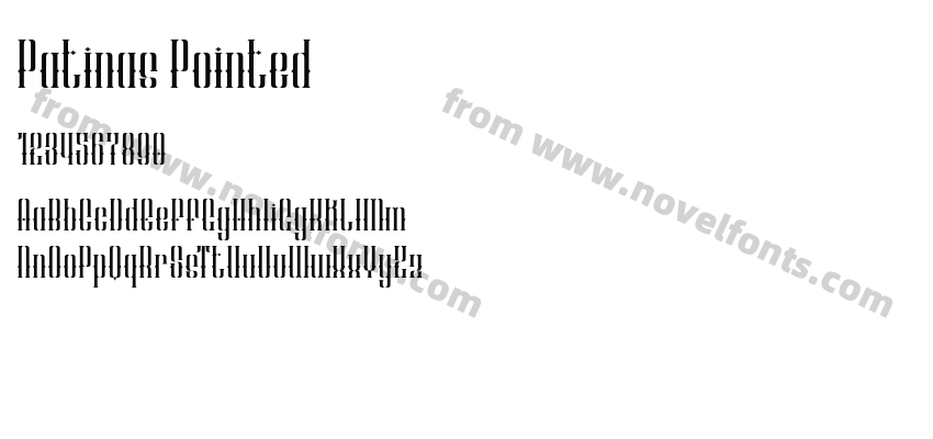 Patinas PointedPreview