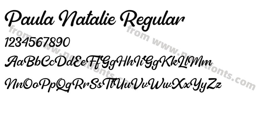 Paula Natalie RegularPreview