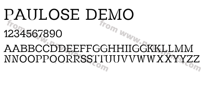 Paulose DemoPreview