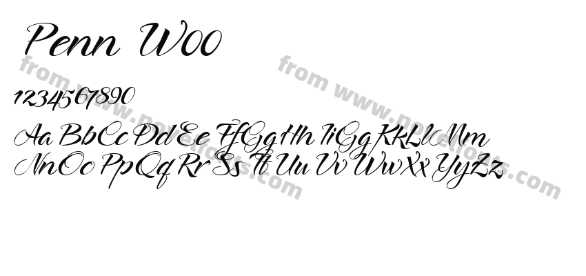 Penn W00Preview