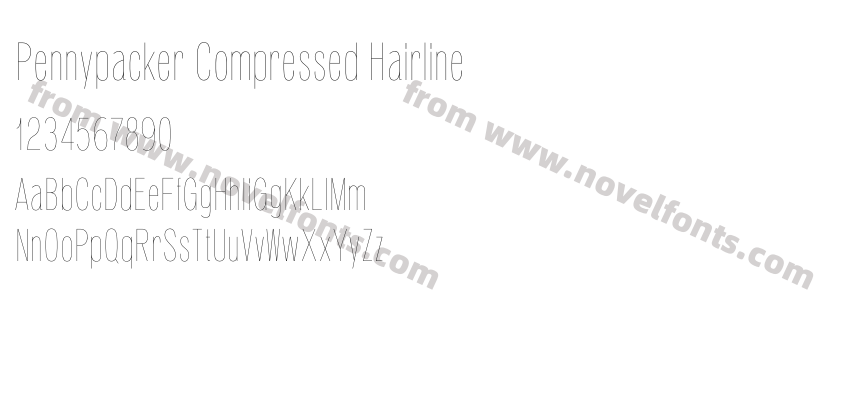 Pennypacker Compressed HairlinePreview