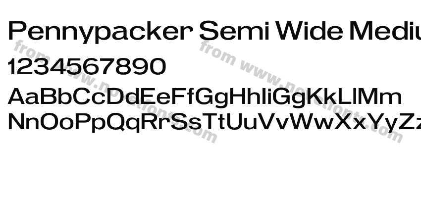 Pennypacker Semi Wide MediumPreview