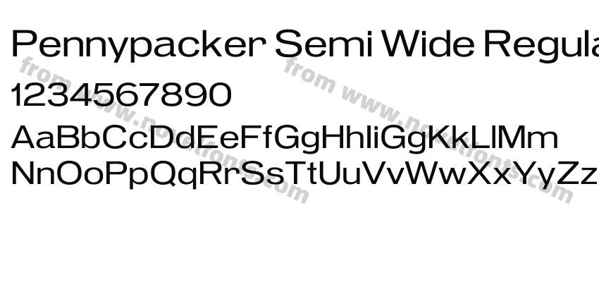 Pennypacker Semi Wide RegularPreview