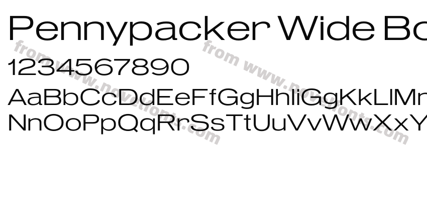 Pennypacker Wide BookPreview
