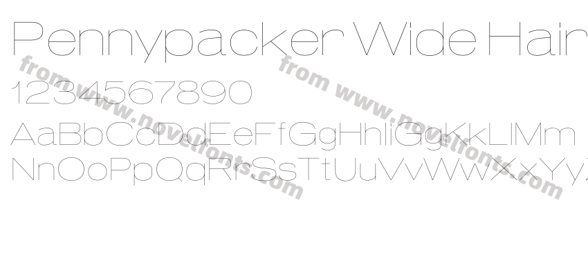 Pennypacker Wide HairlinePreview