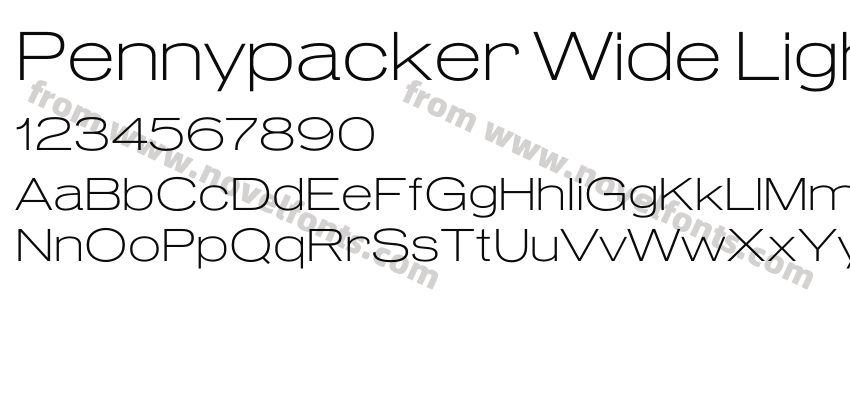 Pennypacker Wide LightPreview