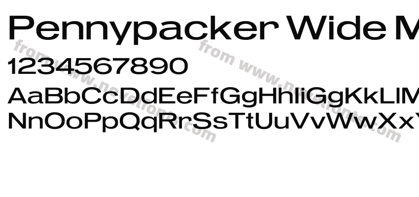Pennypacker Wide MediumPreview