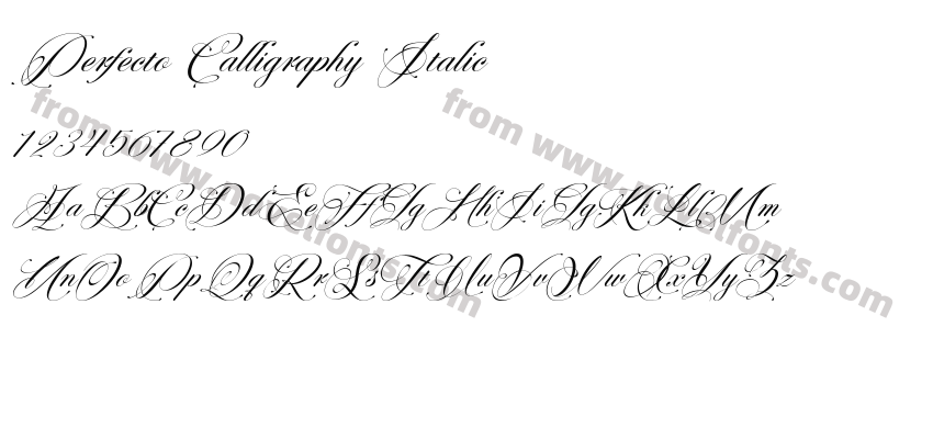 Perfecto Calligraphy ItalicPreview