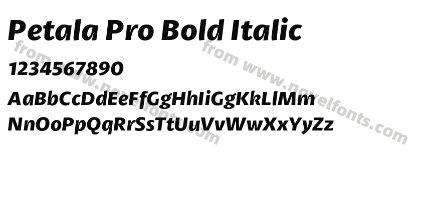 Petala Pro Bold ItalicPreview