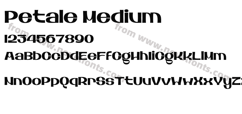 Petale MediumPreview