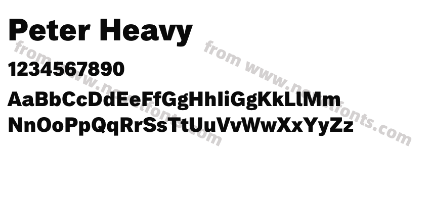 Peter HeavyPreview
