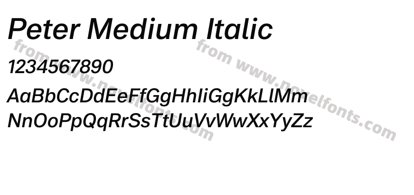 Peter Medium ItalicPreview