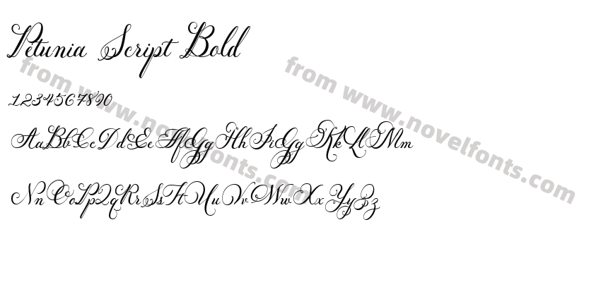 Petunia Script BoldPreview