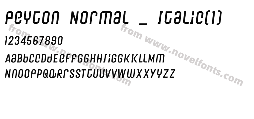 Peyton Normal _ ItalicPreview