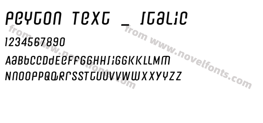 Peyton Text _ ItalicPreview