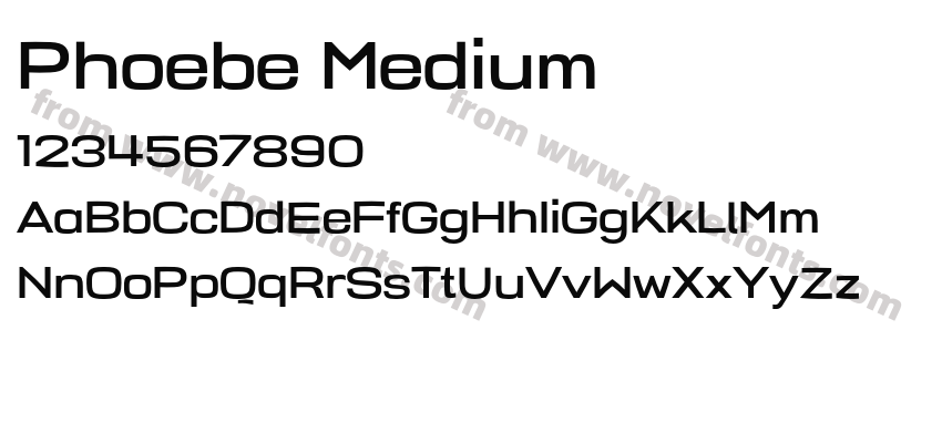 Phoebe MediumPreview