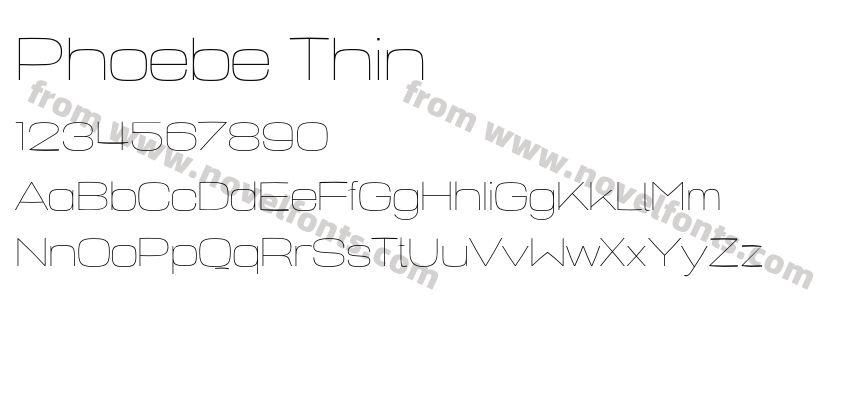 Phoebe ThinPreview