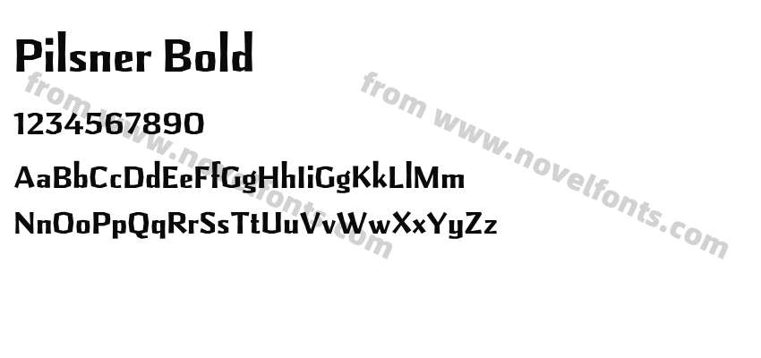 Pilsner BoldPreview
