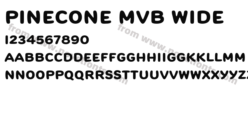 Pinecone MVB WidePreview