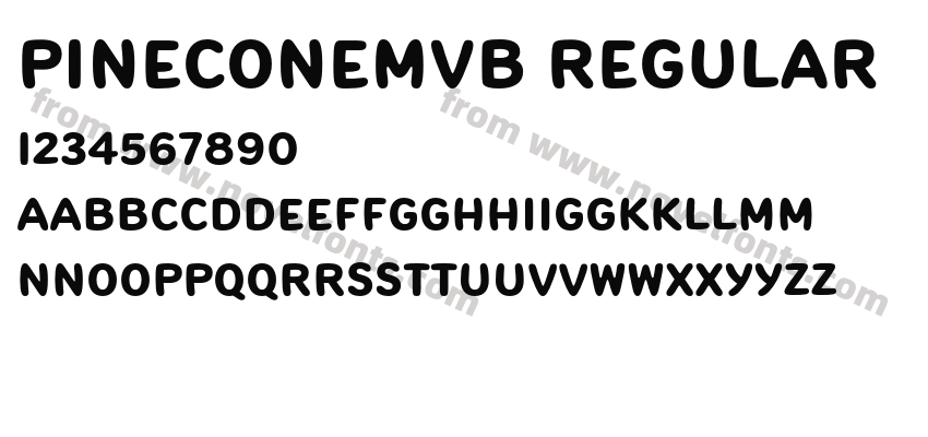 PineconeMVB RegularPreview