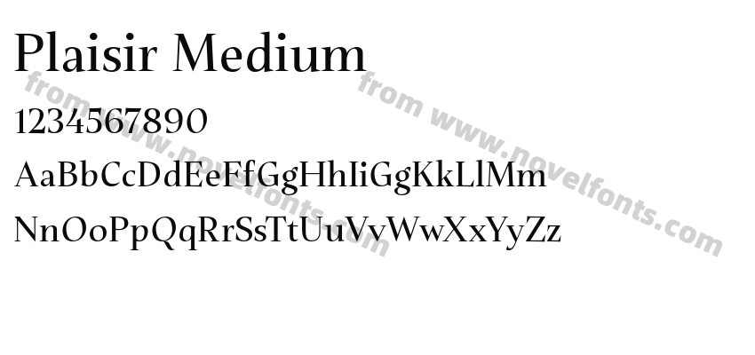 Plaisir MediumPreview