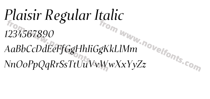 Plaisir Regular ItalicPreview