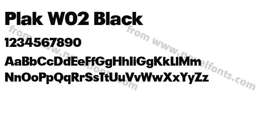 Plak W02 BlackPreview