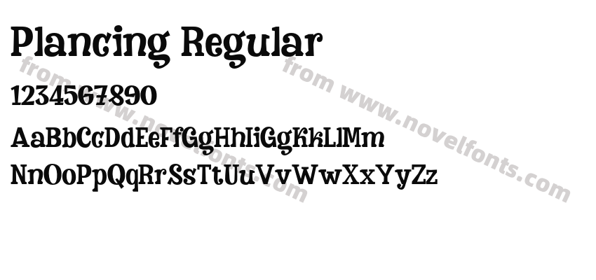 Plancing RegularPreview