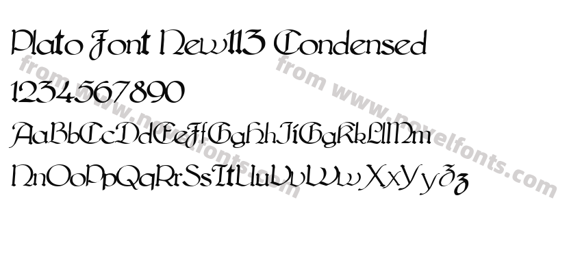 Plato Font New113 CondensedPreview