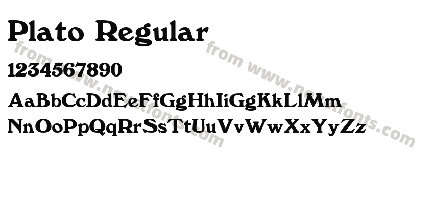 Plato RegularPreview