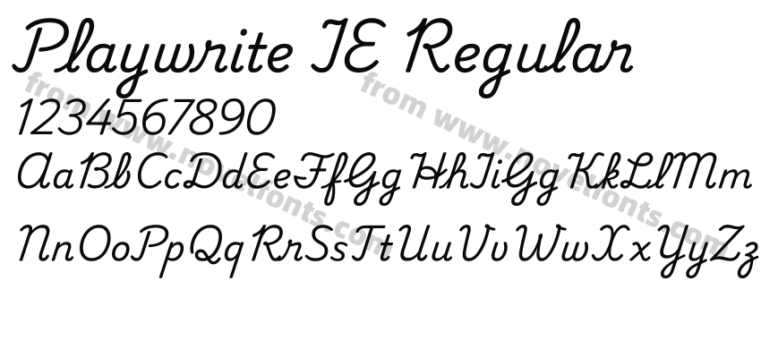 Playwrite IE RegularPreview