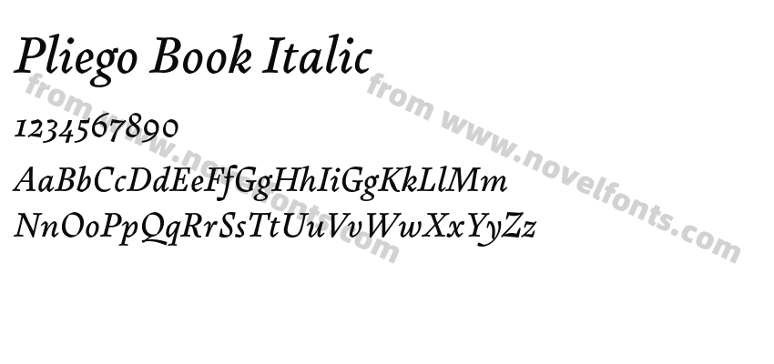 Pliego Book ItalicPreview