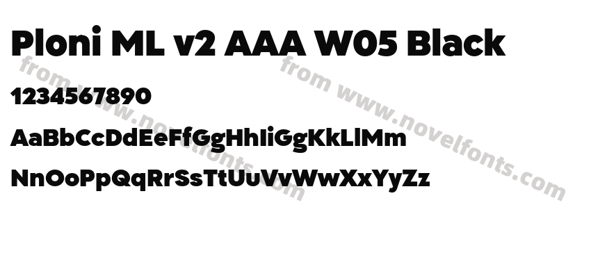 Ploni ML v2 AAA W05 BlackPreview