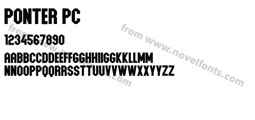 Ponter PCPreview