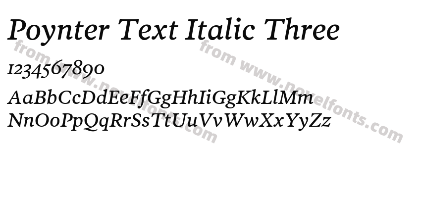 Poynter Text Italic ThreePreview