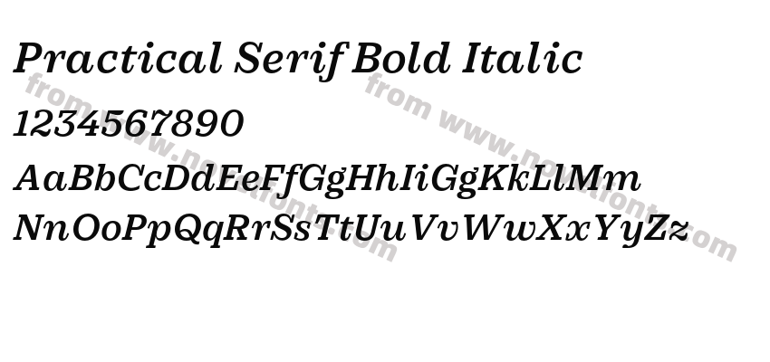 Practical Serif Bold ItalicPreview