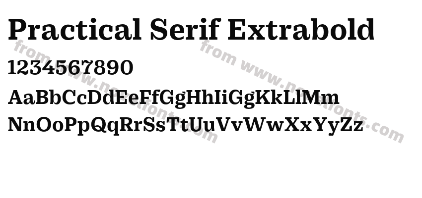 Practical Serif ExtraboldPreview