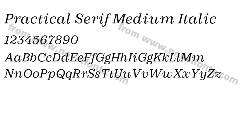 Practical Serif Medium ItalicPreview