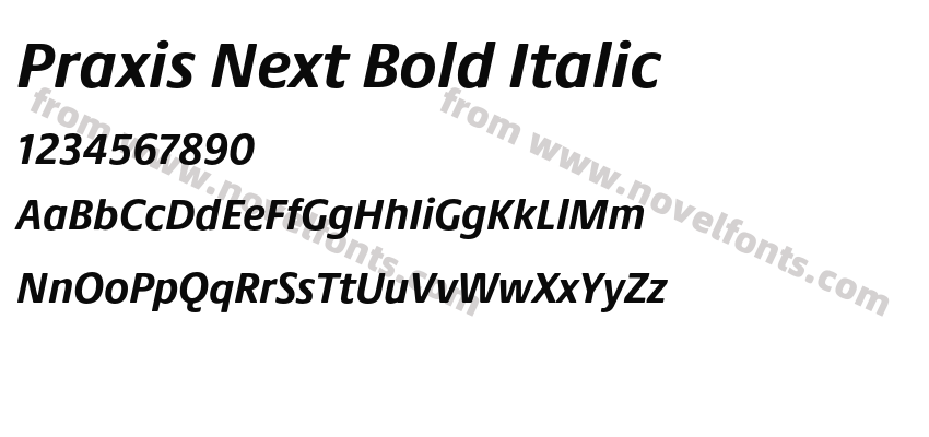 Praxis Next Bold ItalicPreview