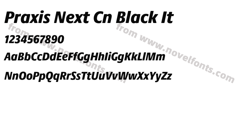 Praxis Next Cn Black ItPreview