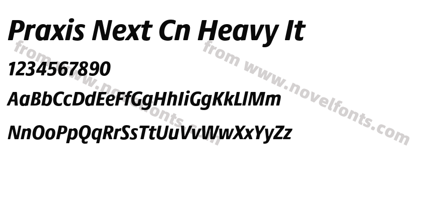 Praxis Next Cn Heavy ItPreview