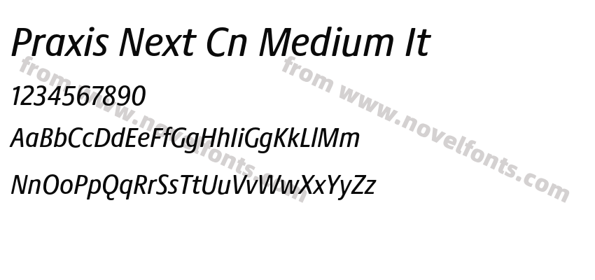 Praxis Next Cn Medium ItPreview