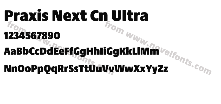 Praxis Next Cn UltraPreview