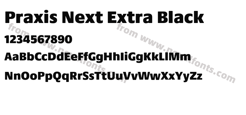 Praxis Next Extra BlackPreview