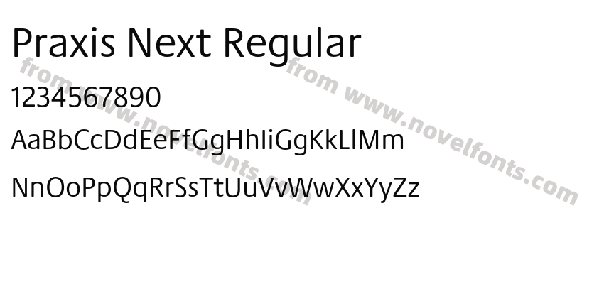 Praxis Next RegularPreview