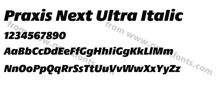 Praxis Next Ultra ItalicPreview